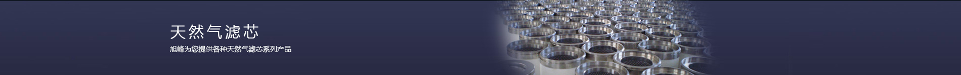 天然氣濾芯